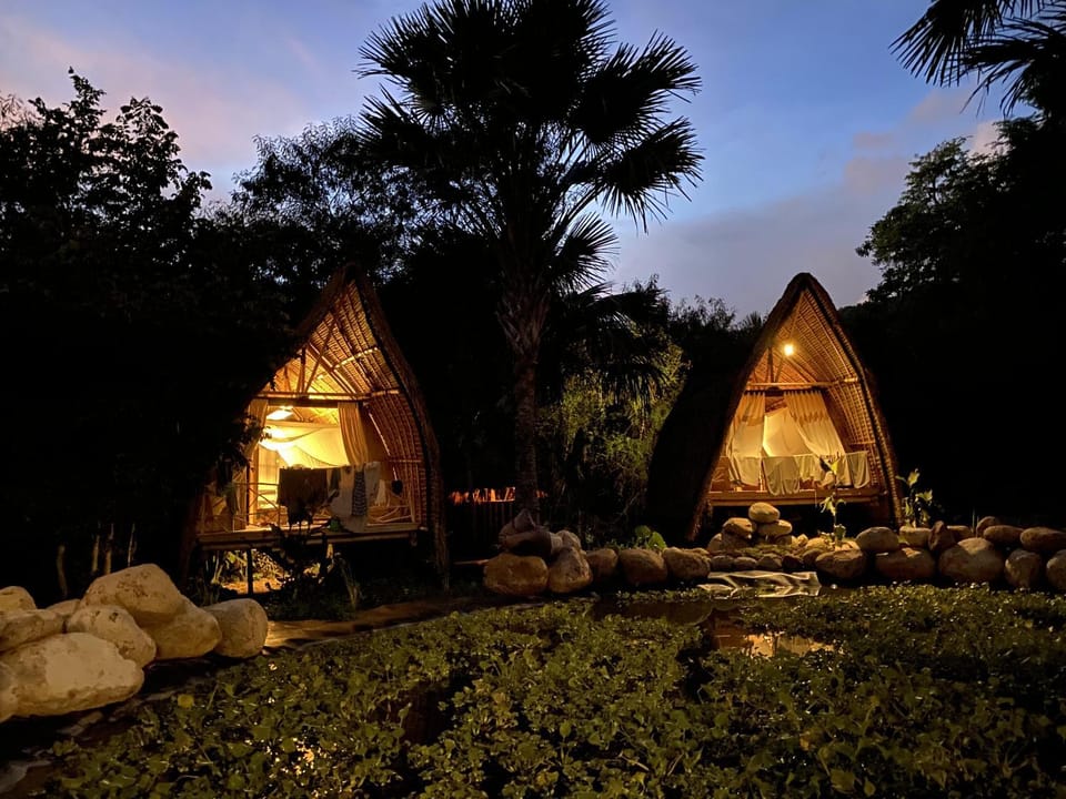 Property building, Night, Natural landscape, Garden, Garden view
