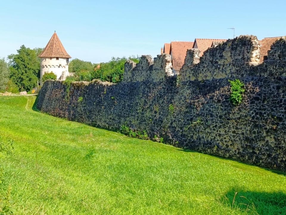 Le Coin Zen - Parking, Borne VE et Fibre Apartment in Ribeauvillé