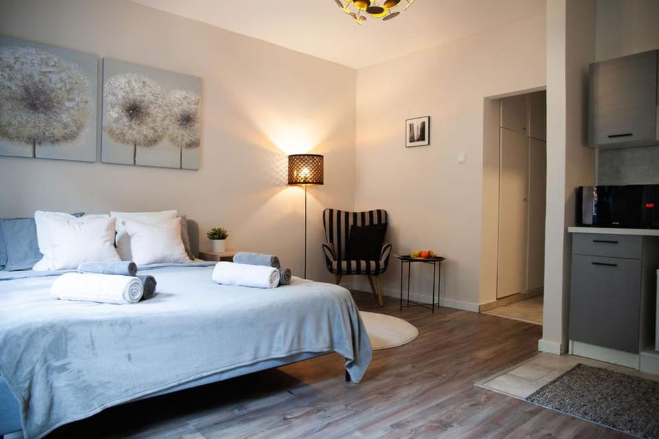 Barbaras Modern Apartment Apartment in Budapest