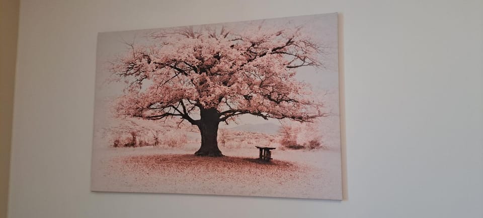 L'Arbre Rose - Parking, Borne VE et Fibre Apartment in Ribeauvillé