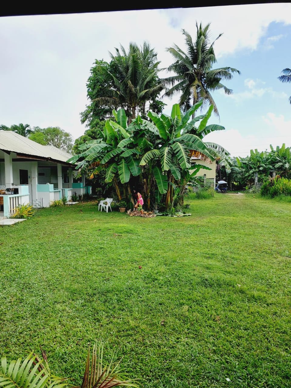 Day, Natural landscape, Garden, Garden view