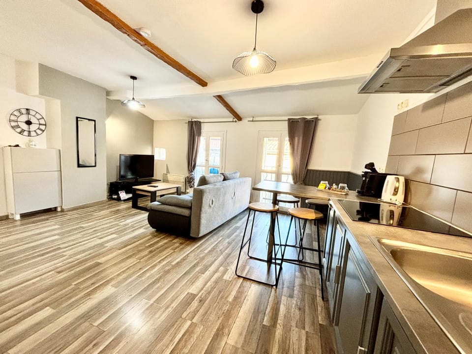 Charmant & Spacieux , Proche centre Apartment in Valence