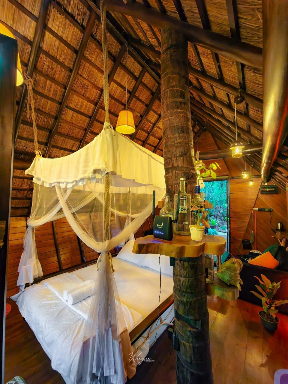 Bed, Photo of the whole room