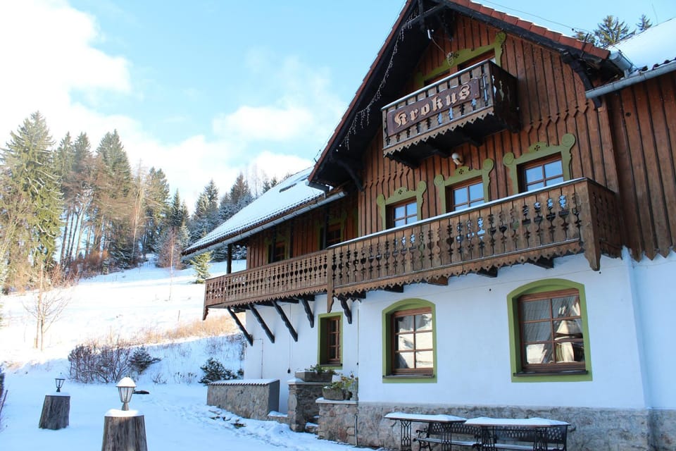 Willa Krokus Vacation rental in Lower Silesian Voivodeship