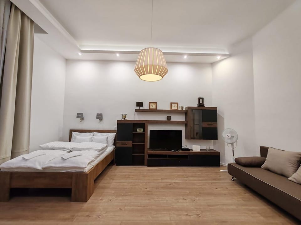 Danube 3 bedrooms Apartment in Budapest