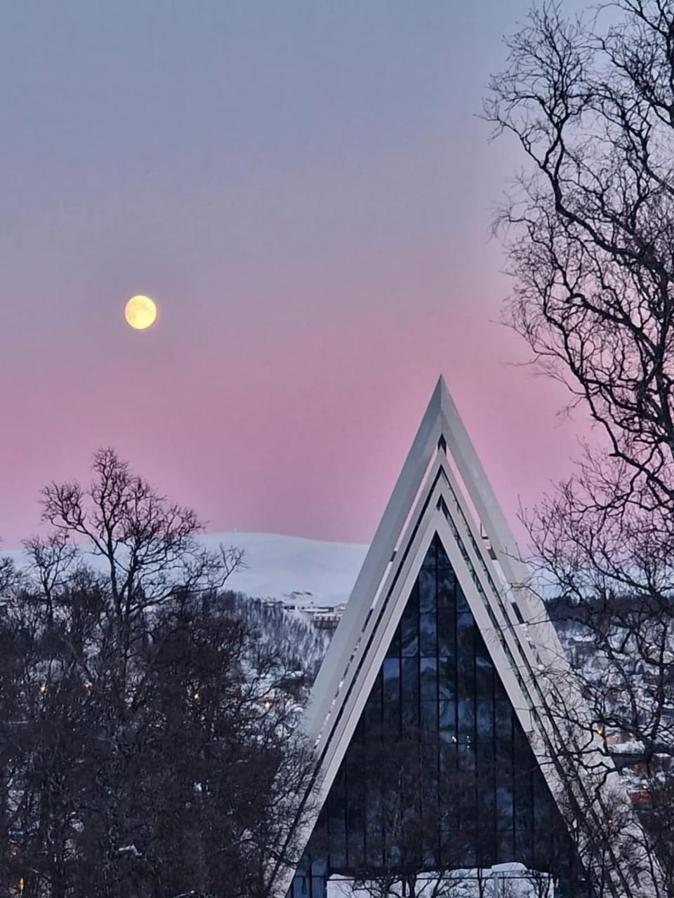 Odins nest Apartment in Tromso