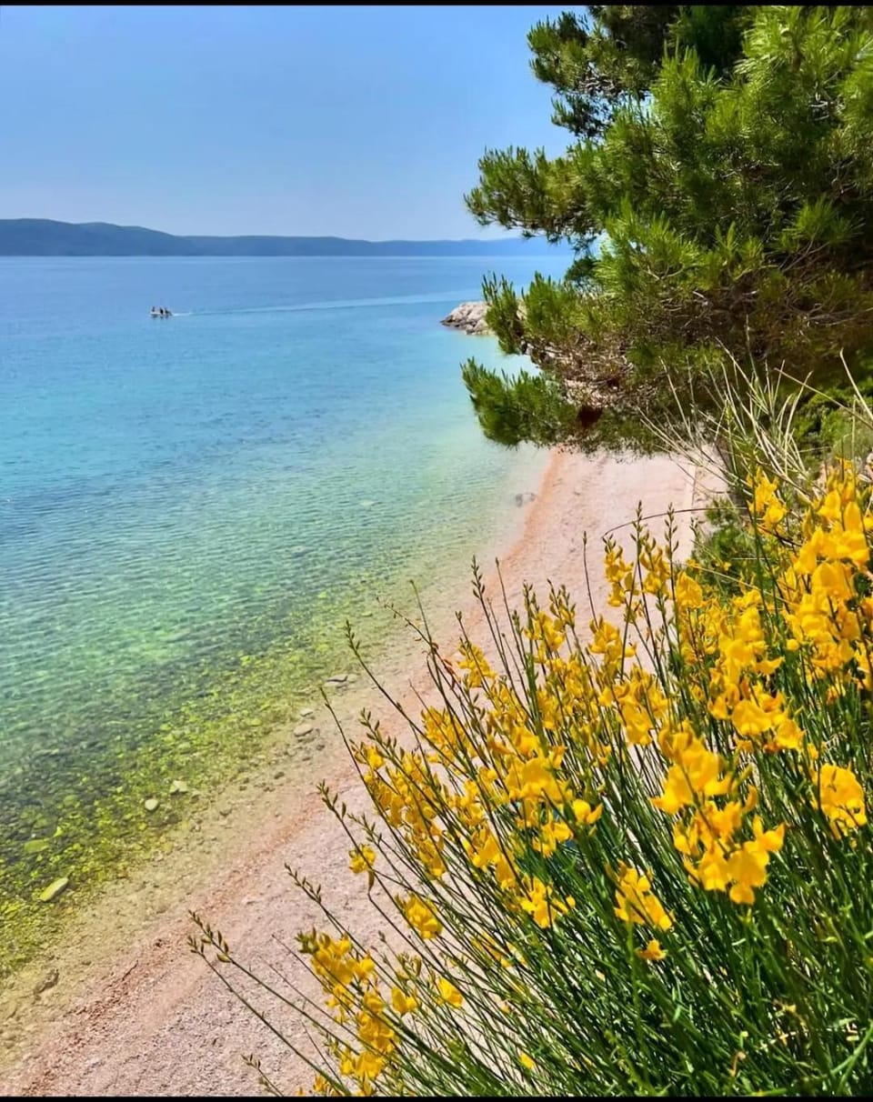 Apartman Ivo Pink Apartment in Split-Dalmatia County
