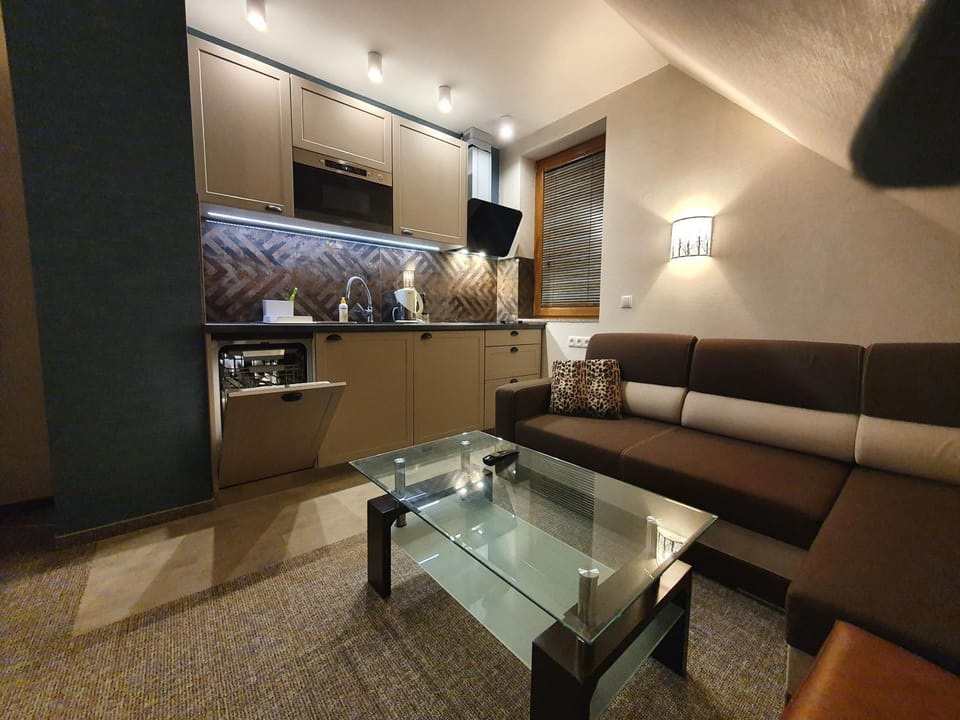 Apartament Blue Sky Apartment in Wladyslawowo