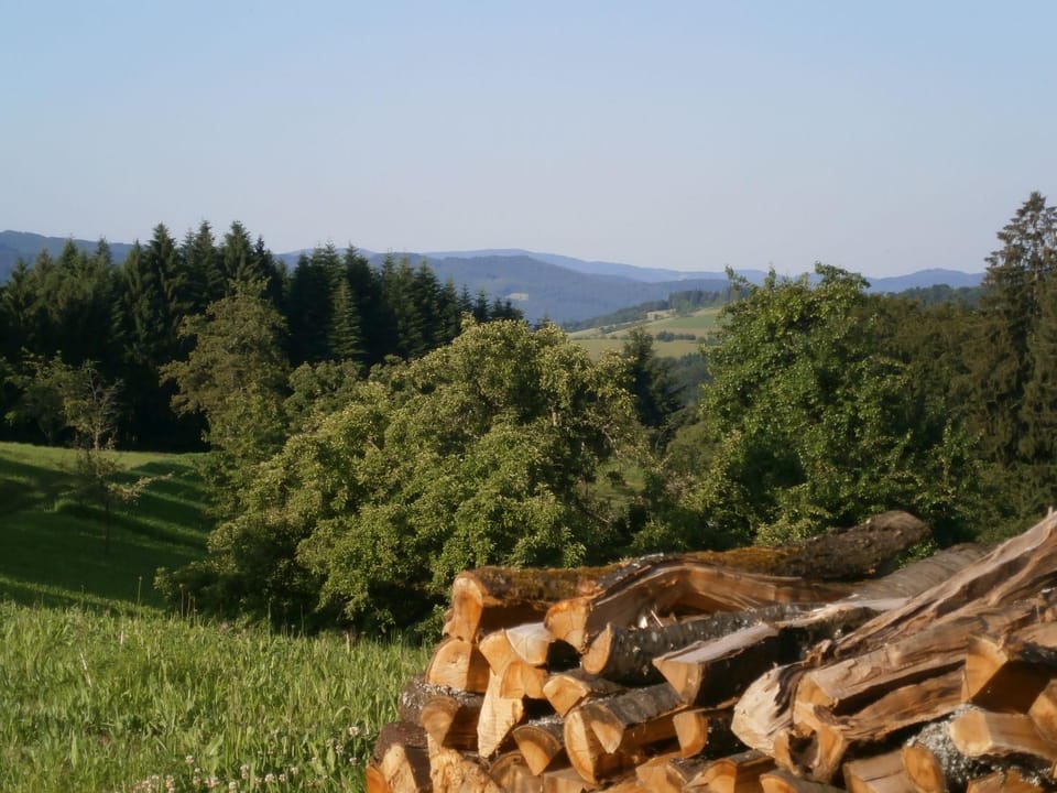 Other, Decorative detail