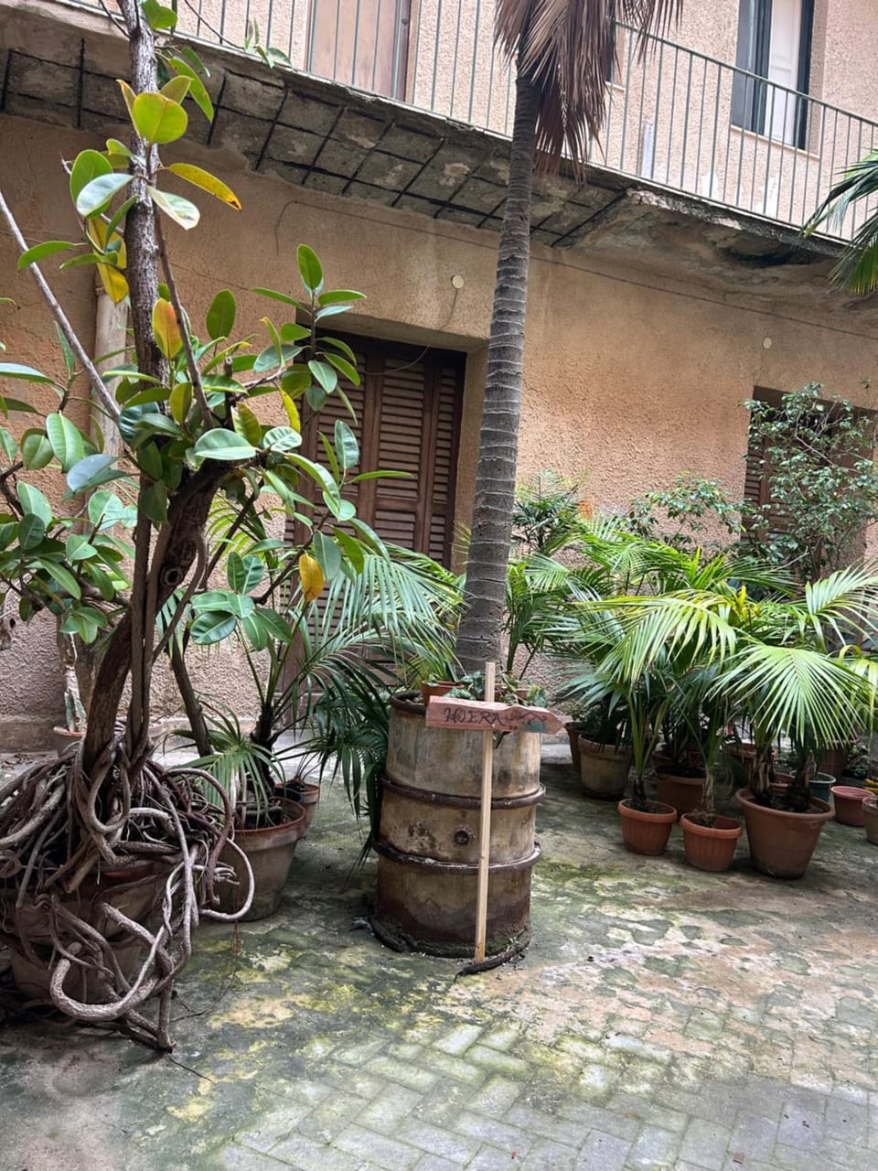 Hiera Favignana Bed and Breakfast in Trapani