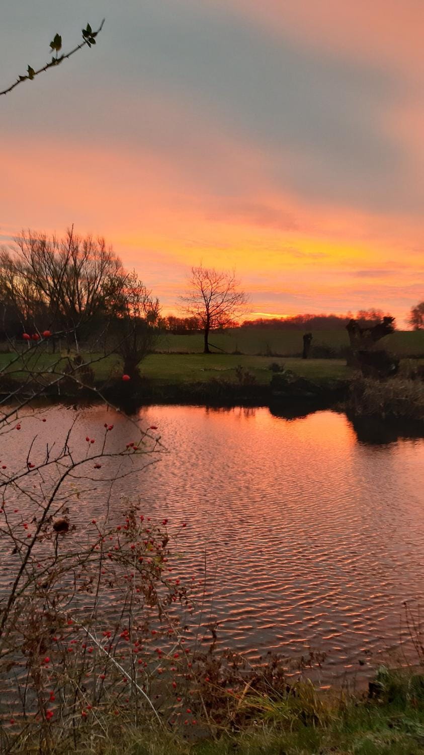 Natural landscape, Sunset