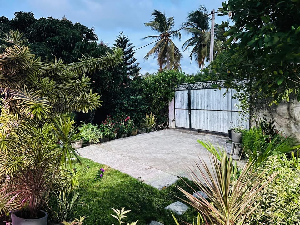 Garden view