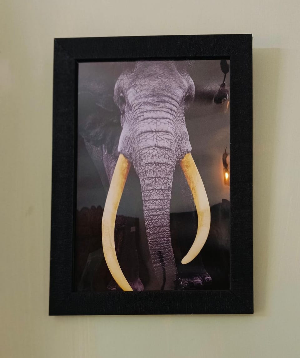 Cherys Bunglow Homestay Apartment in Kerala