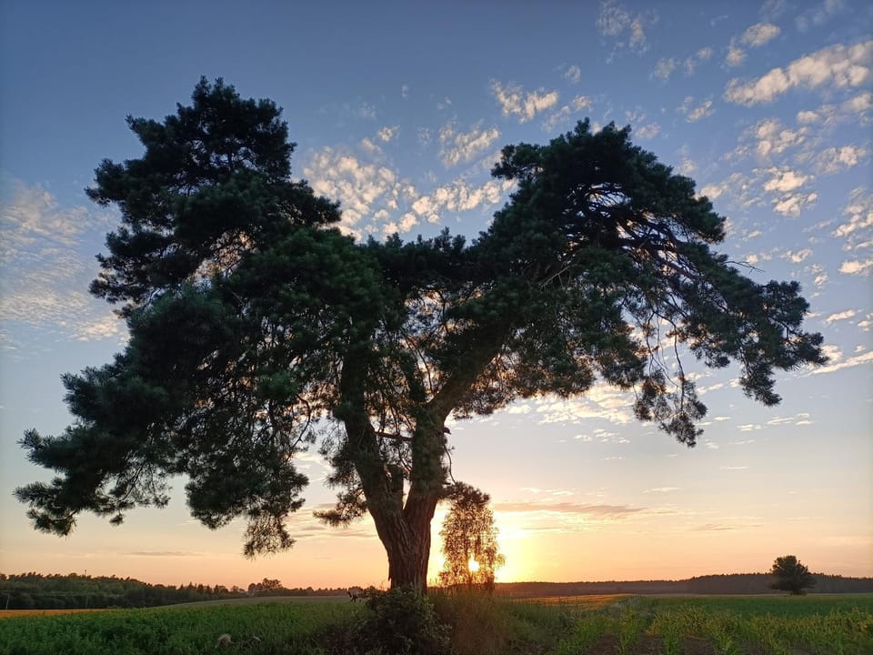 Spring, Off site, Natural landscape, Sunset