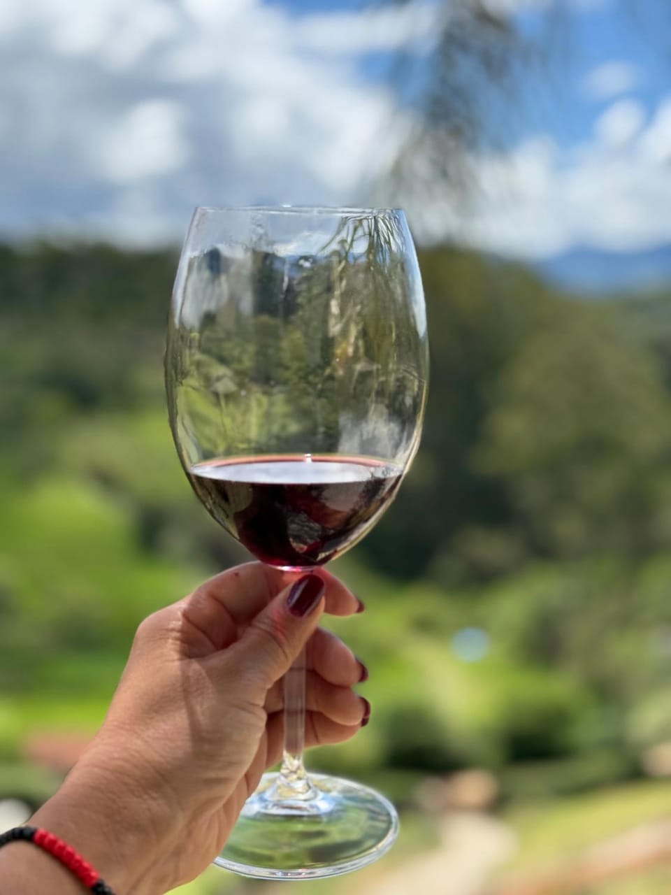 Quinta da Serra Villa & Chalés Nature lodge in State of São Paulo