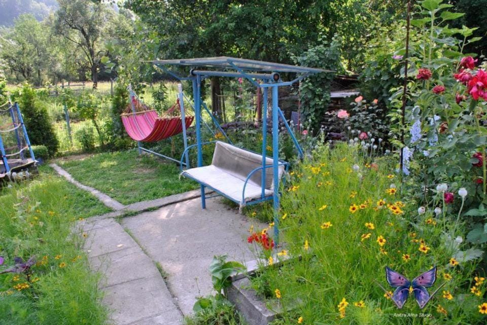 Spring, Day, Natural landscape, Garden view