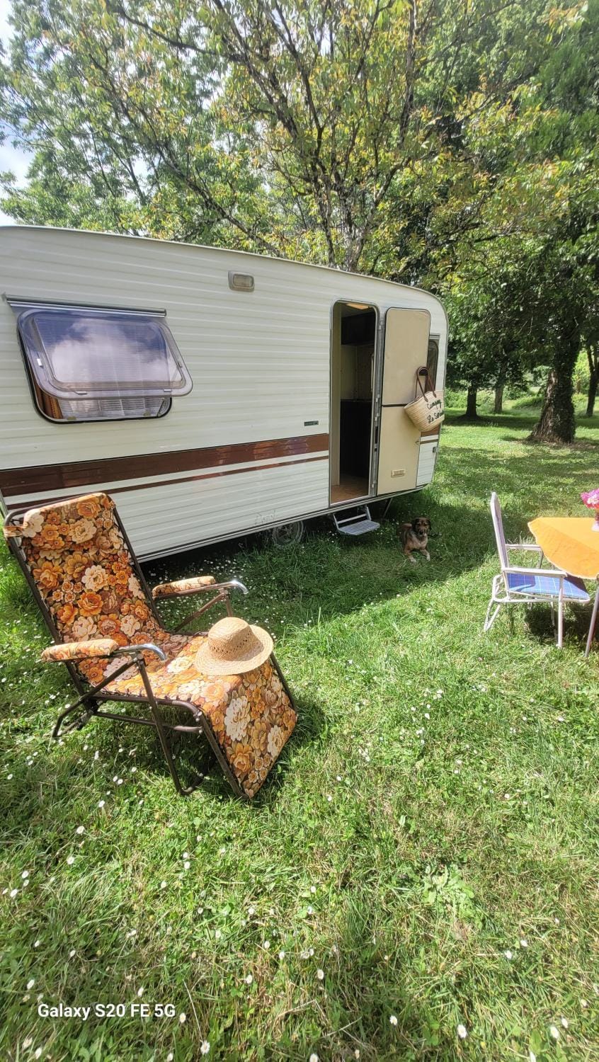 CHEZ JOSETTE caravane Camping le sorbier Montignac Lascaux Campground/ 
RV Resort in Montignac