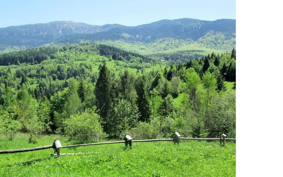 Kwatery U Adama Zawoja House in Lesser Poland Voivodeship