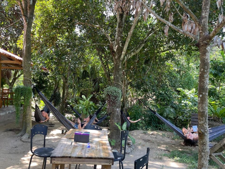 Patio, Day, Natural landscape, Garden, Dining area, Garden view