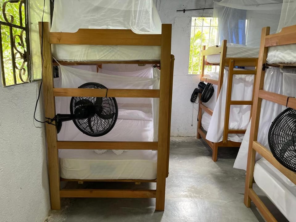 bunk bed