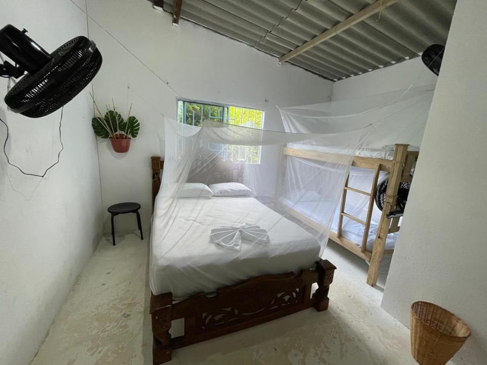 Bed, Photo of the whole room, Bedroom, bunk bed