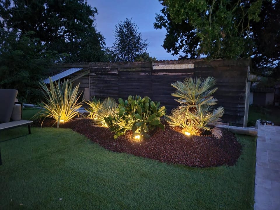 Night, Garden, Garden