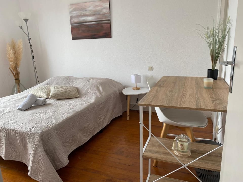 Appartement COSY vue cathédrale Albi - Parking Apartment in Albi
