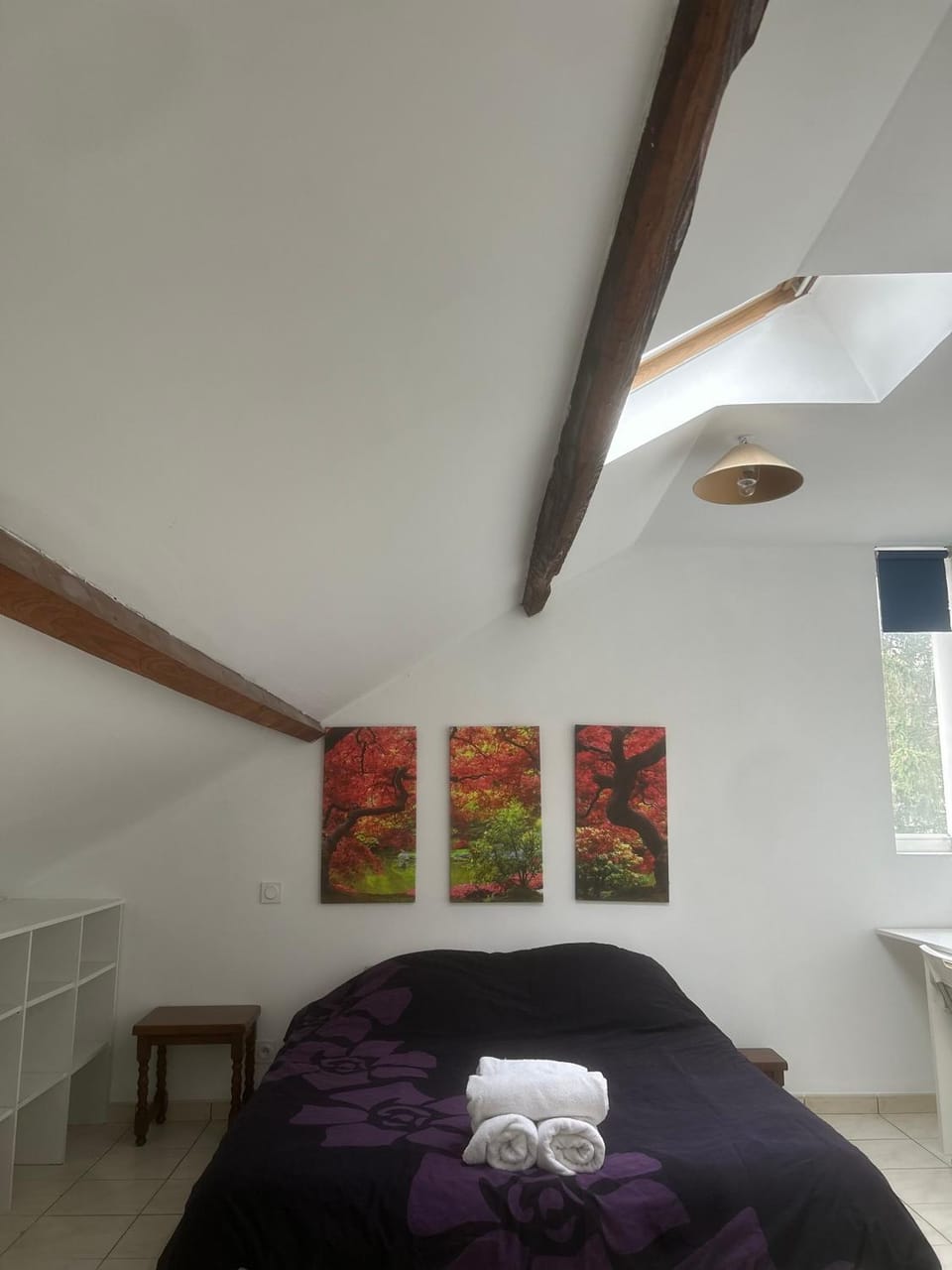 Tal's Duplax Apartment in Villeurbanne