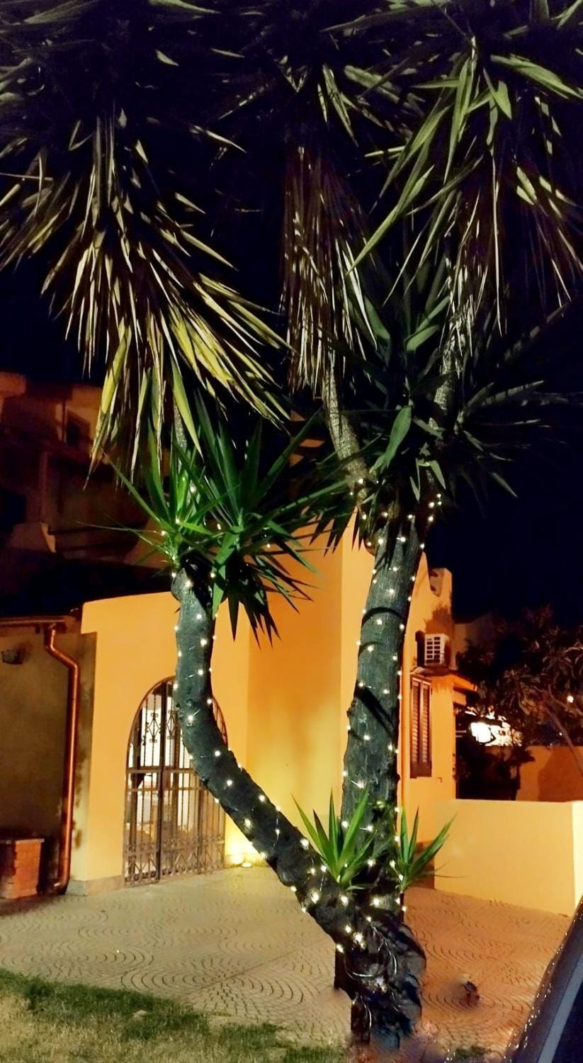 Property building, Night, Garden, Inner courtyard view
