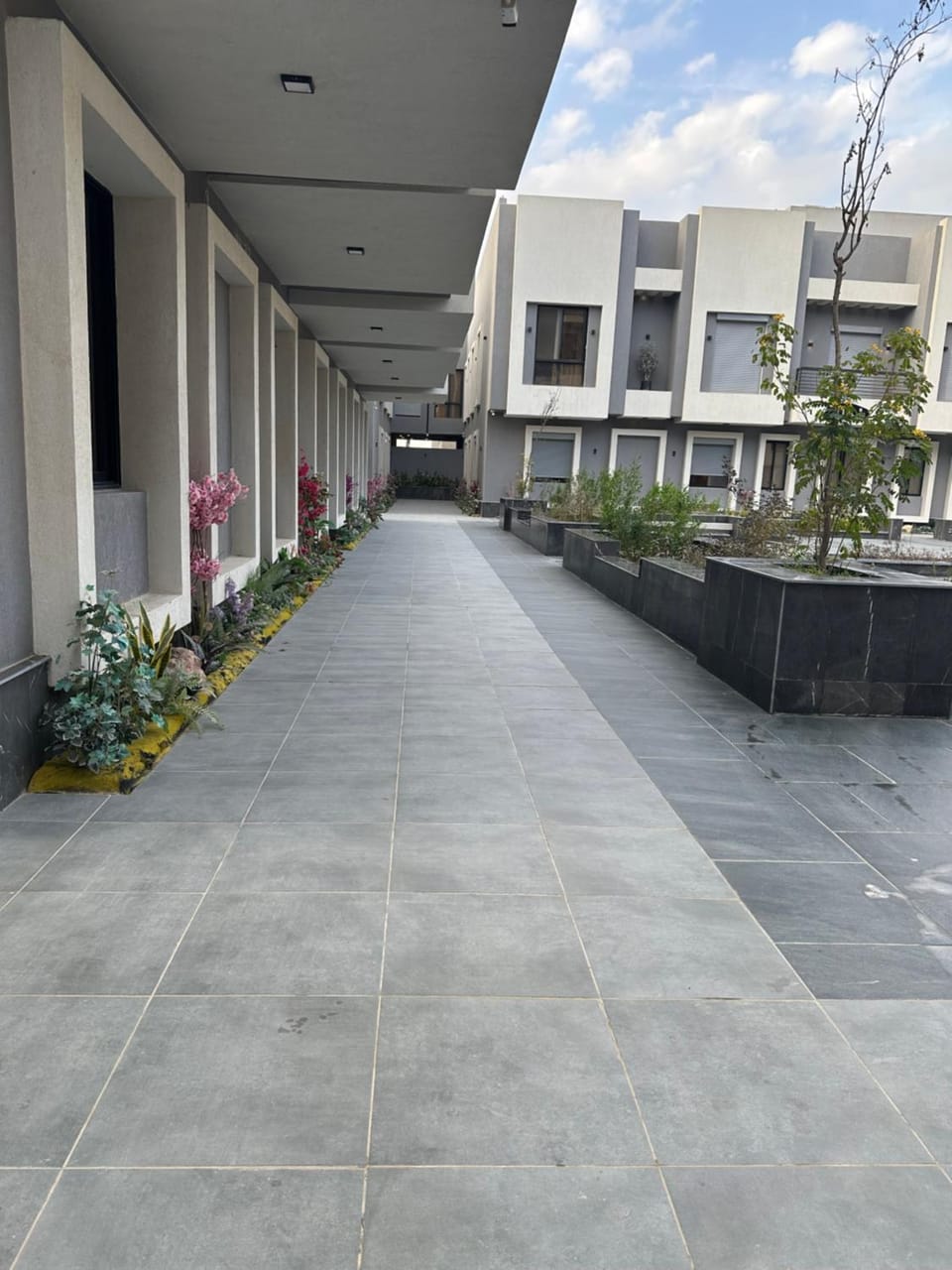 Property building