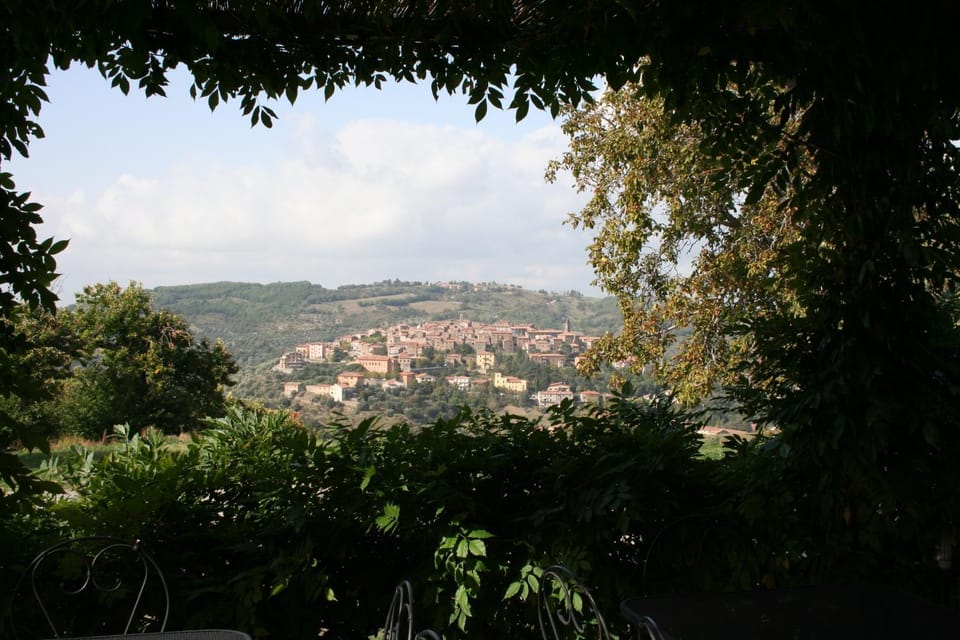 View (from property/room)