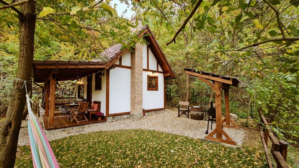 Explorers Dream - Transylvania House in Romania
