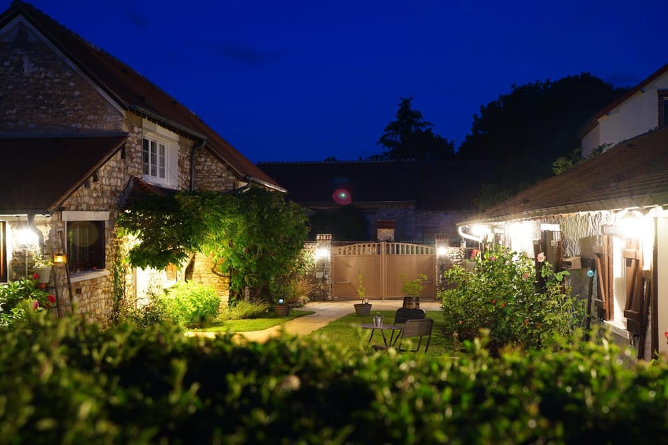 Night, Garden, Garden view