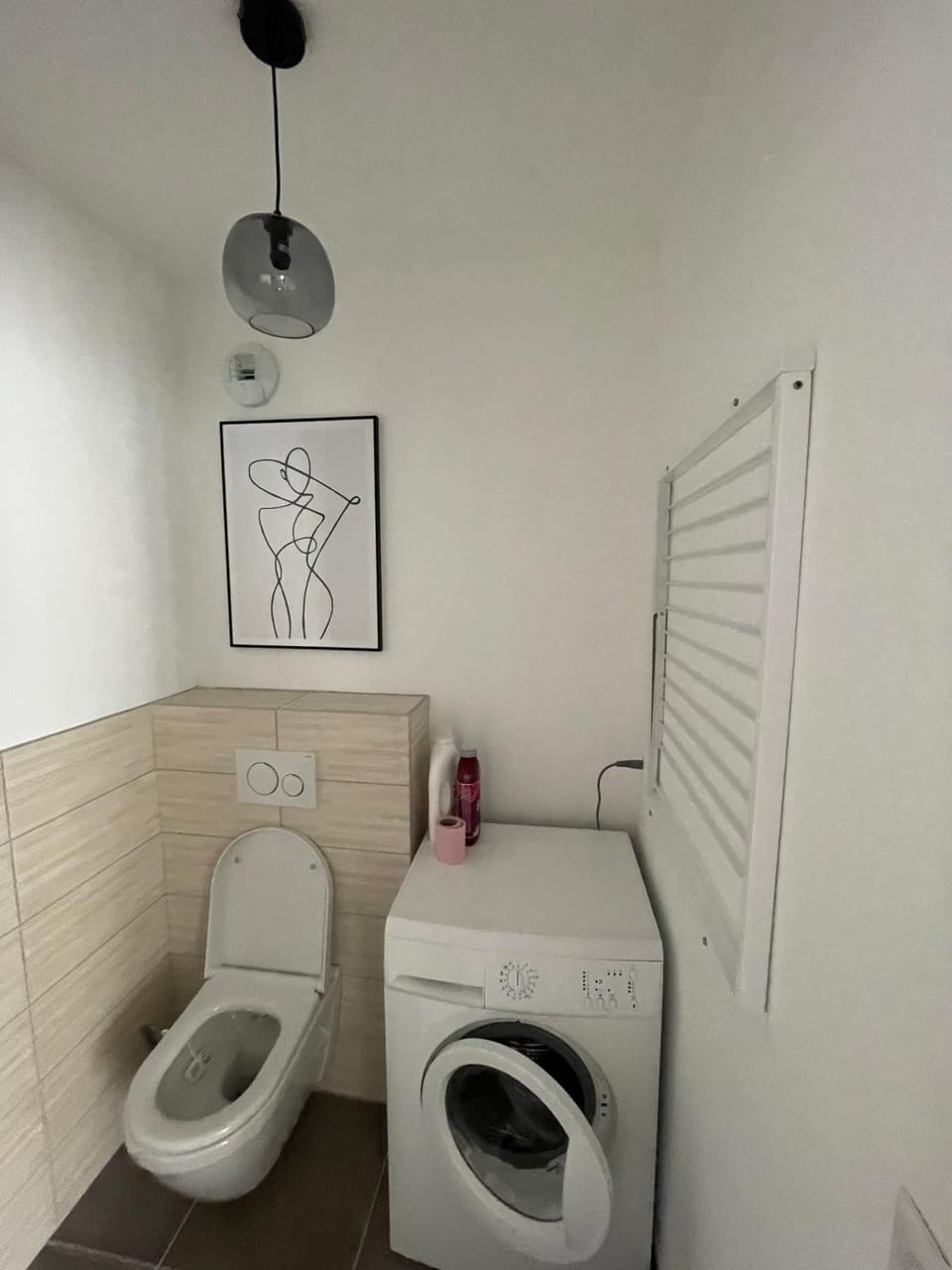 Toilet, washing machine