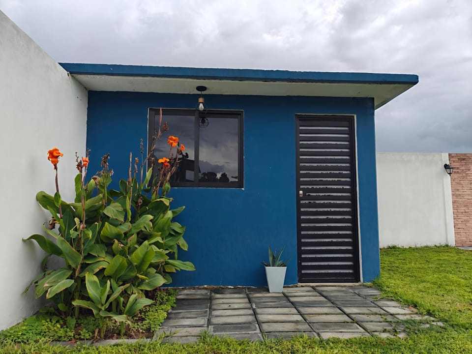 Property building, Spring, Day, Summer, Garden, Garden view