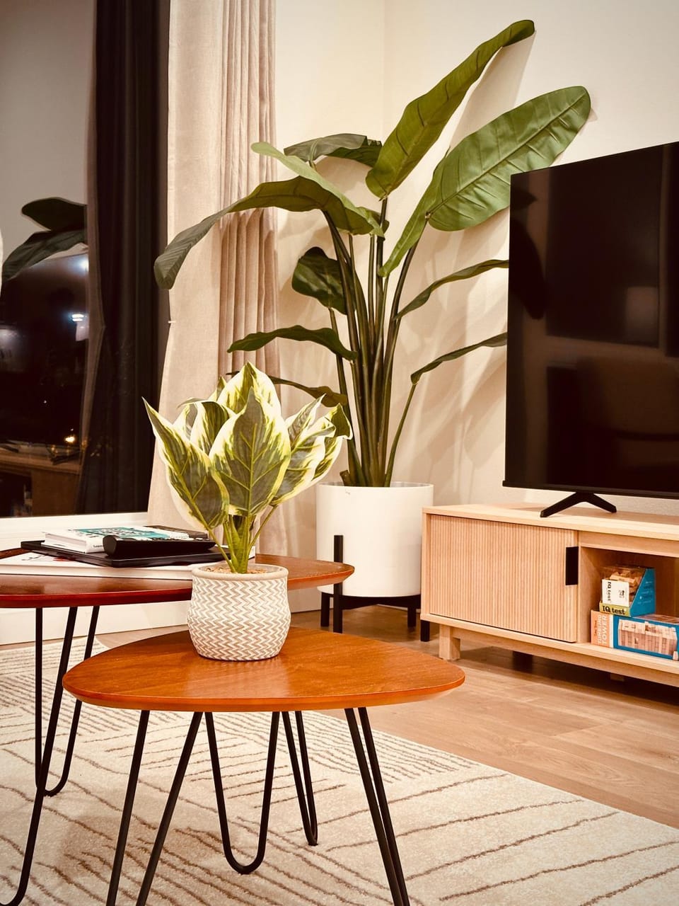 Game Room, TV and multimedia