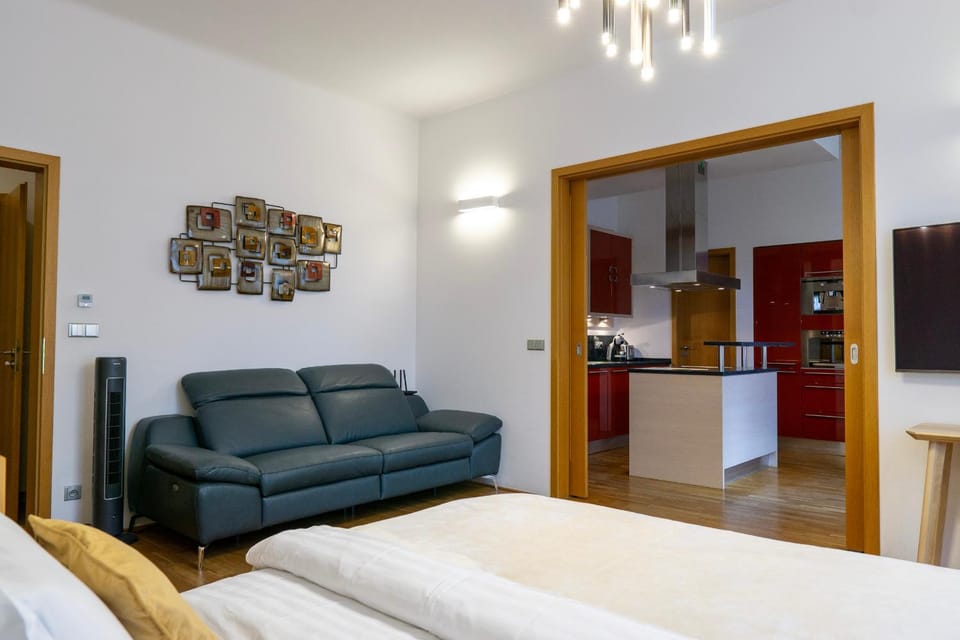 Bed, TV and multimedia, Living room, Bedroom