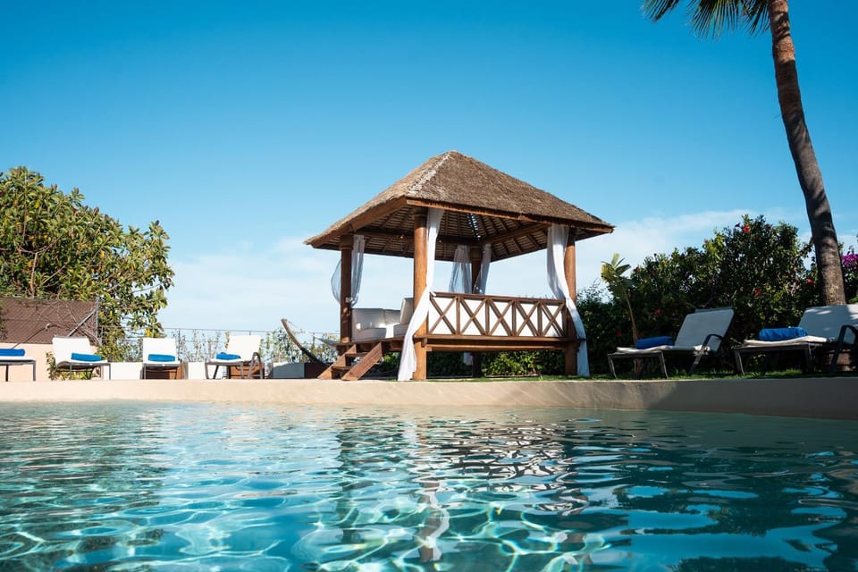 Day, Pool view, Swimming pool, sunbed