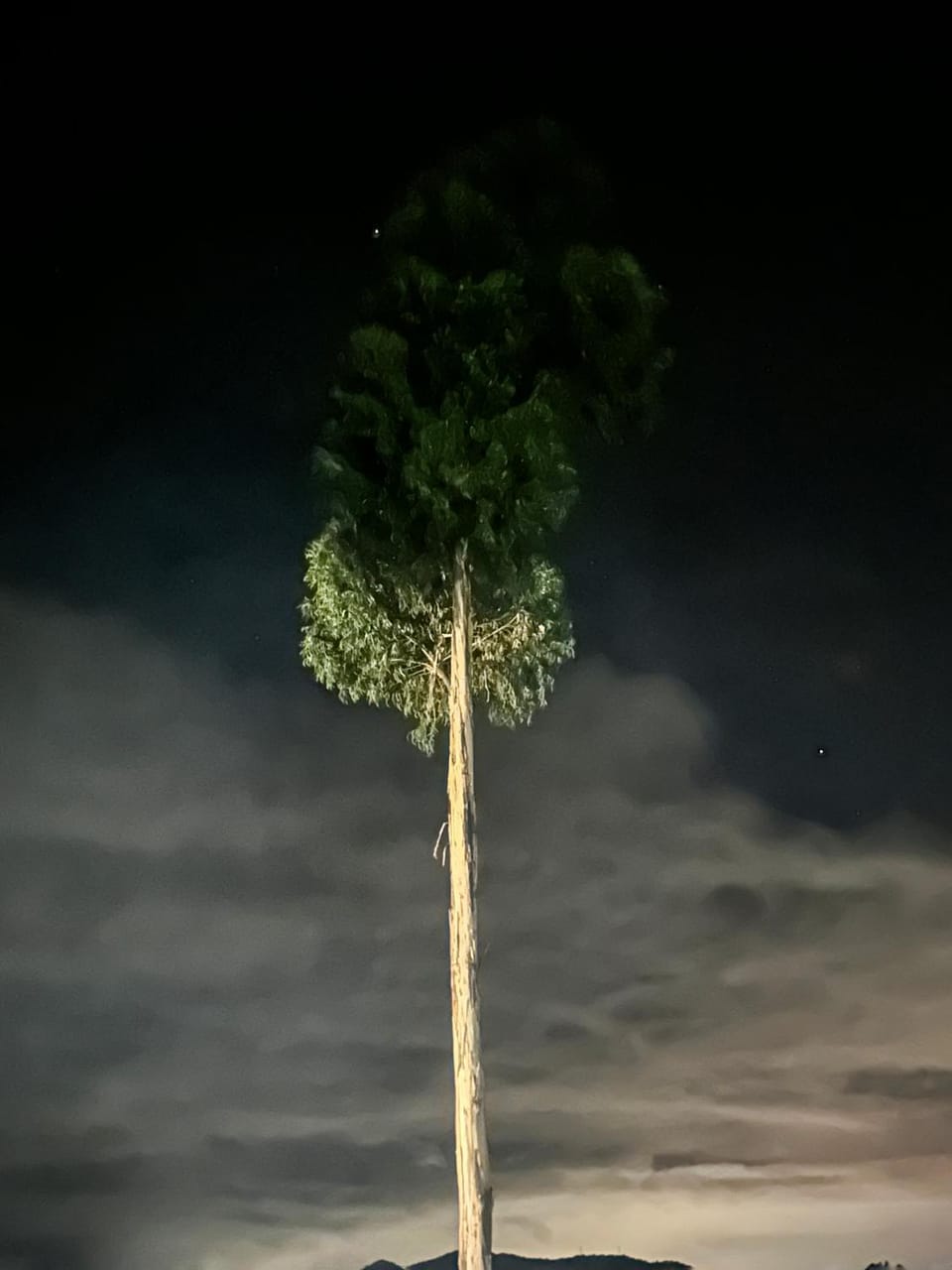 Night, Natural landscape
