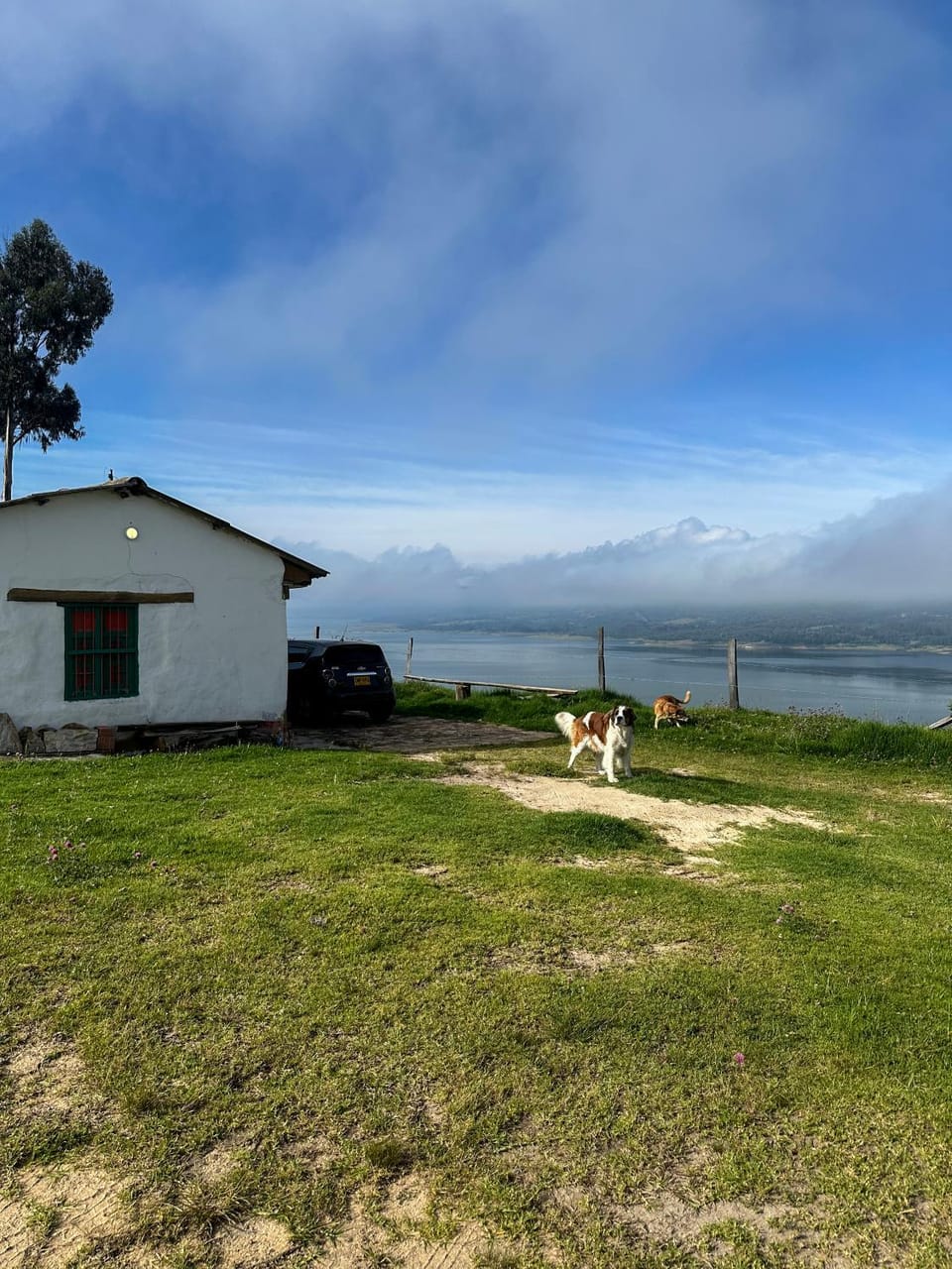 Property building, Natural landscape, Lake view