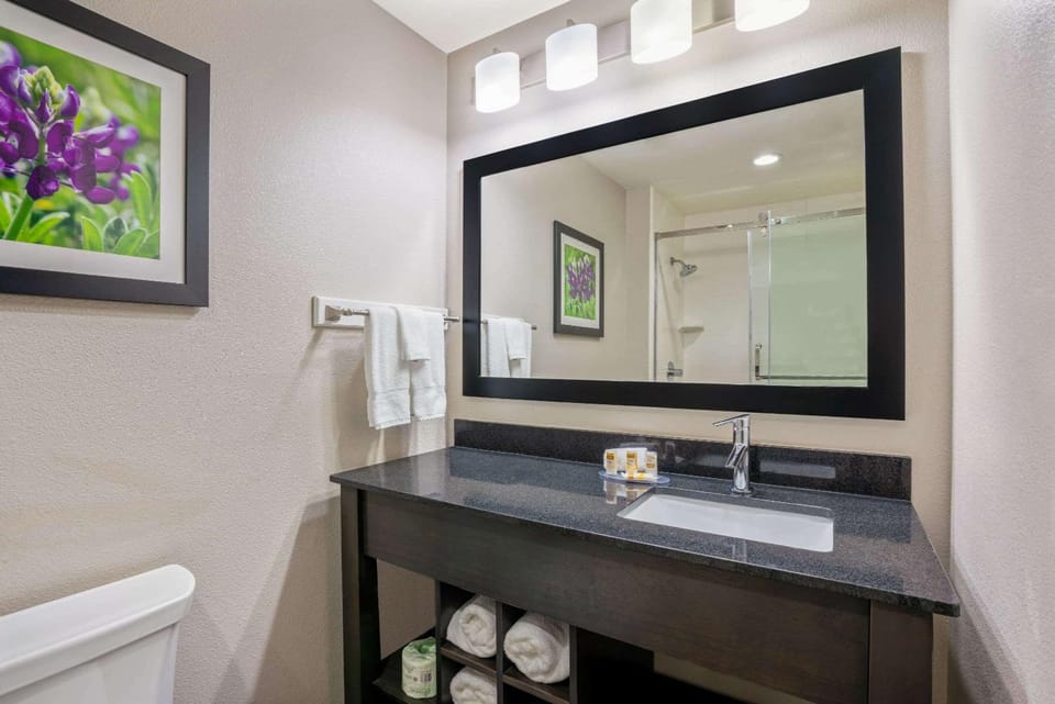 Bathroom, Photo of the whole room, On site
