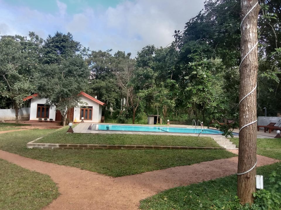 Lion King Jungle Cabanas Hotel in Dambulla