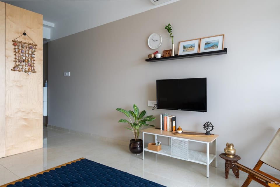 TV and multimedia