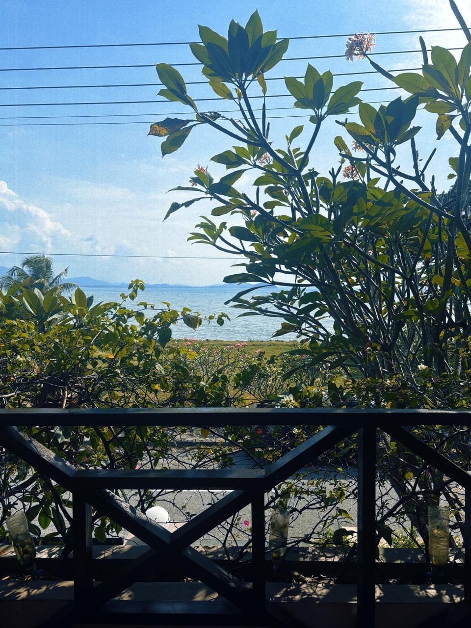 View (from property/room)