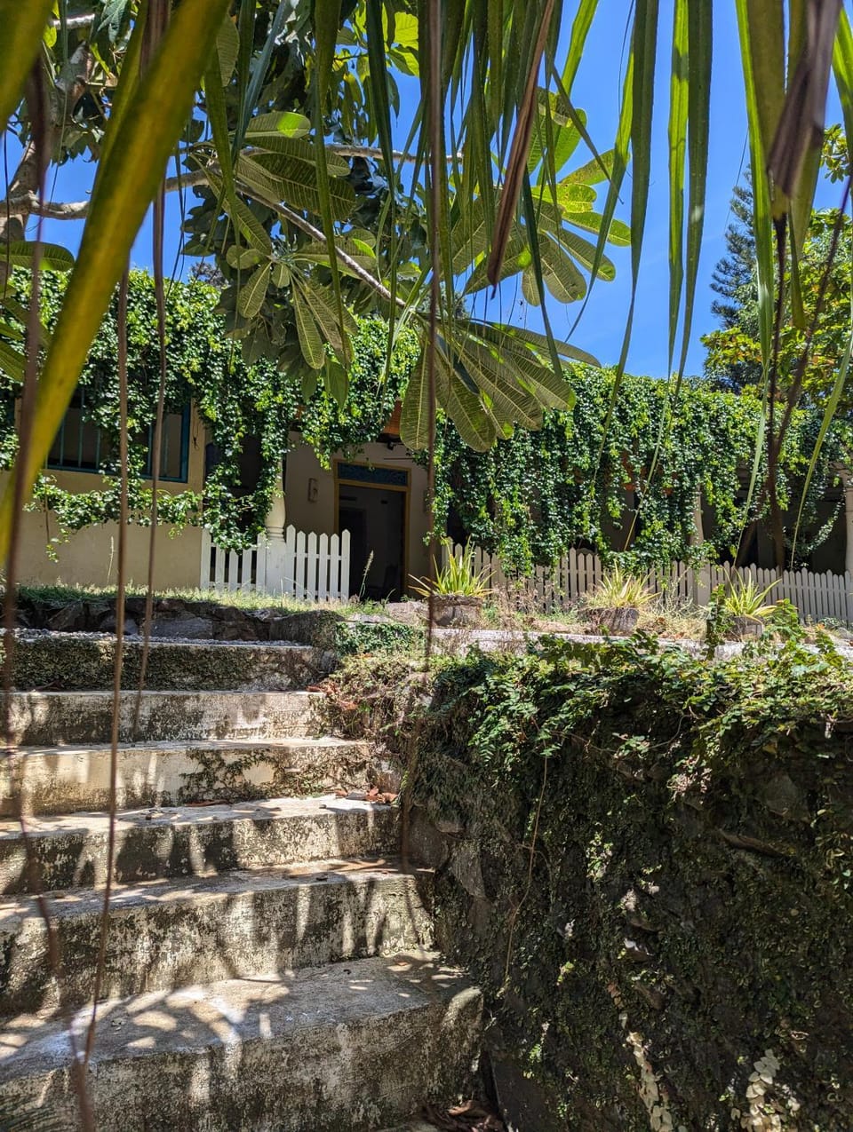 Day, Natural landscape, Garden