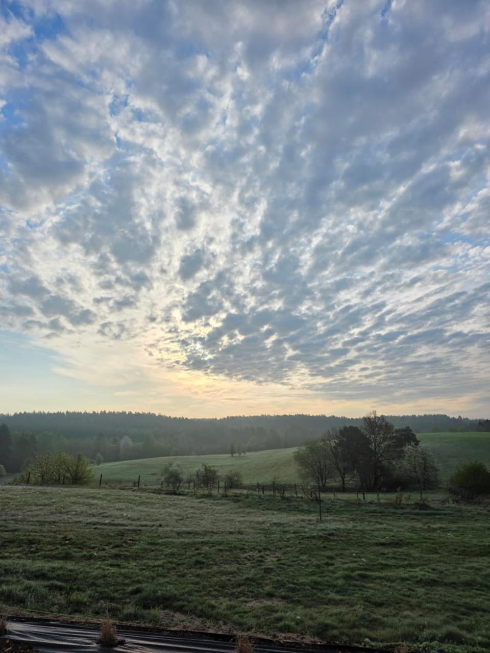 agroturystyka Orzechowe Wzgórze Farm Stay in Poland