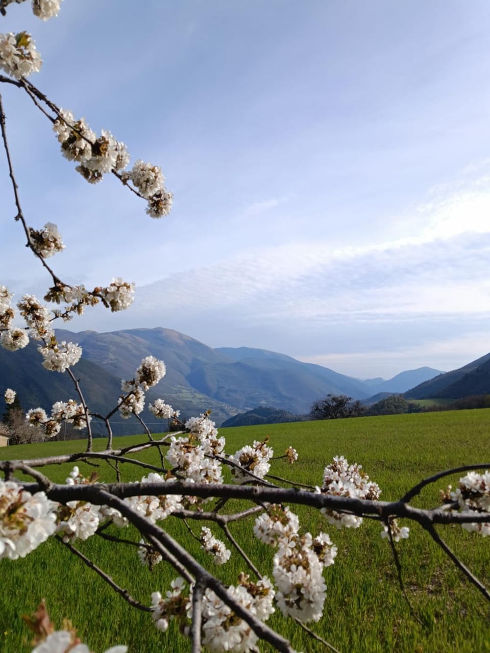 Natural landscape