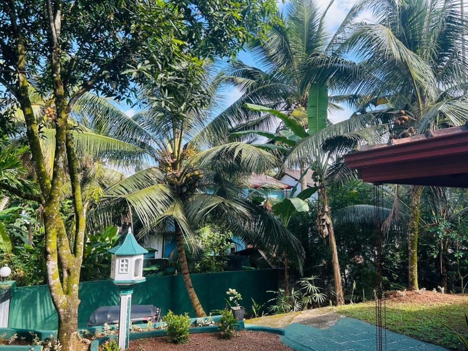 Natural landscape, Garden