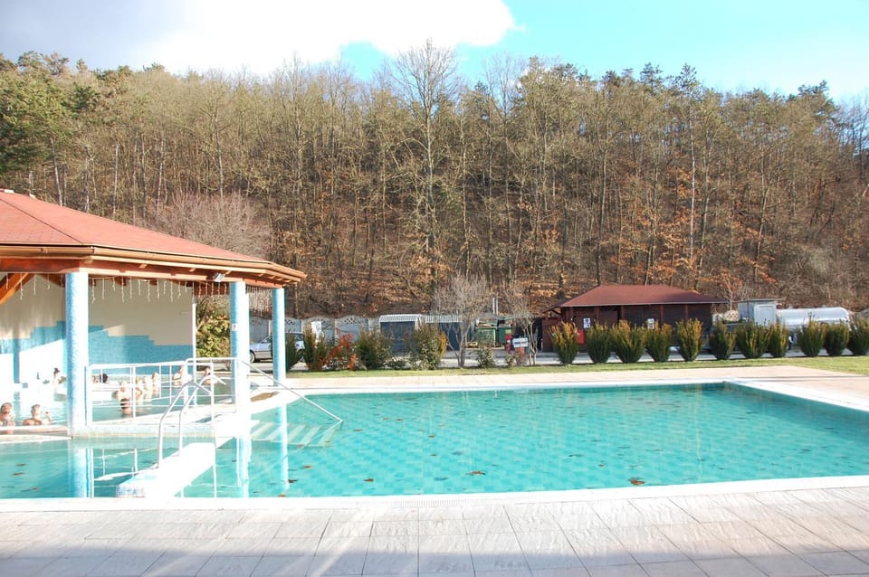 Natural landscape, Pool view, Swimming pool