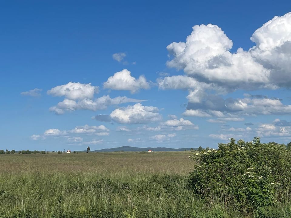 Landmark view